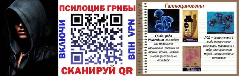 Псилоцибиновые грибы Cubensis Стерлитамак