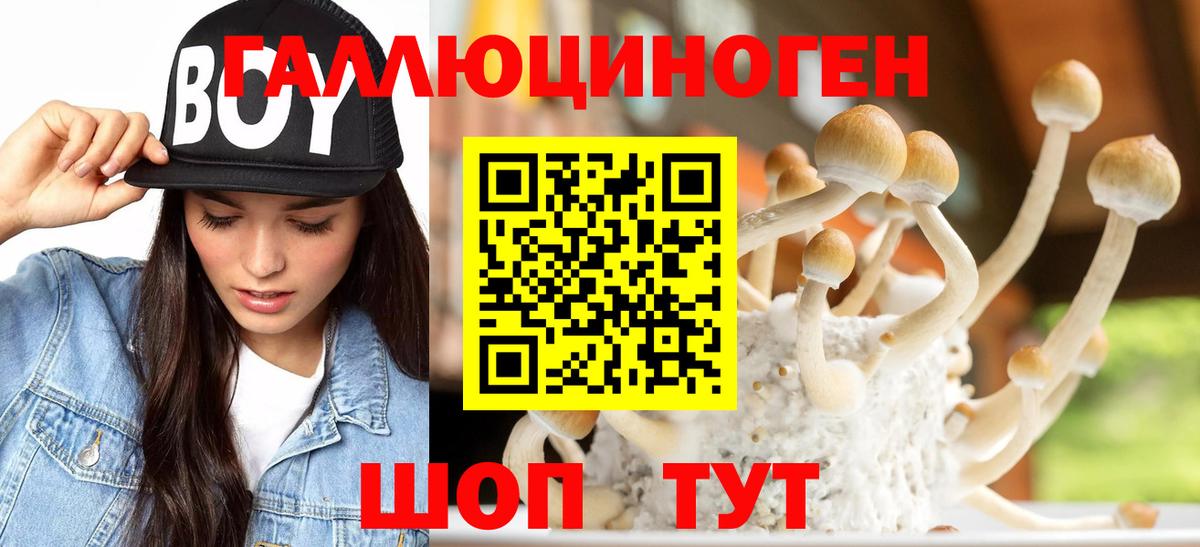 Галлюциногенные грибы Cubensis  Галлюциногенные грибы Psilocybine cubensis  Стерлитамак  где можно купить   Вход с VPN 